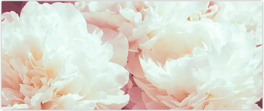 Tablou cu flori (120x50 cm)