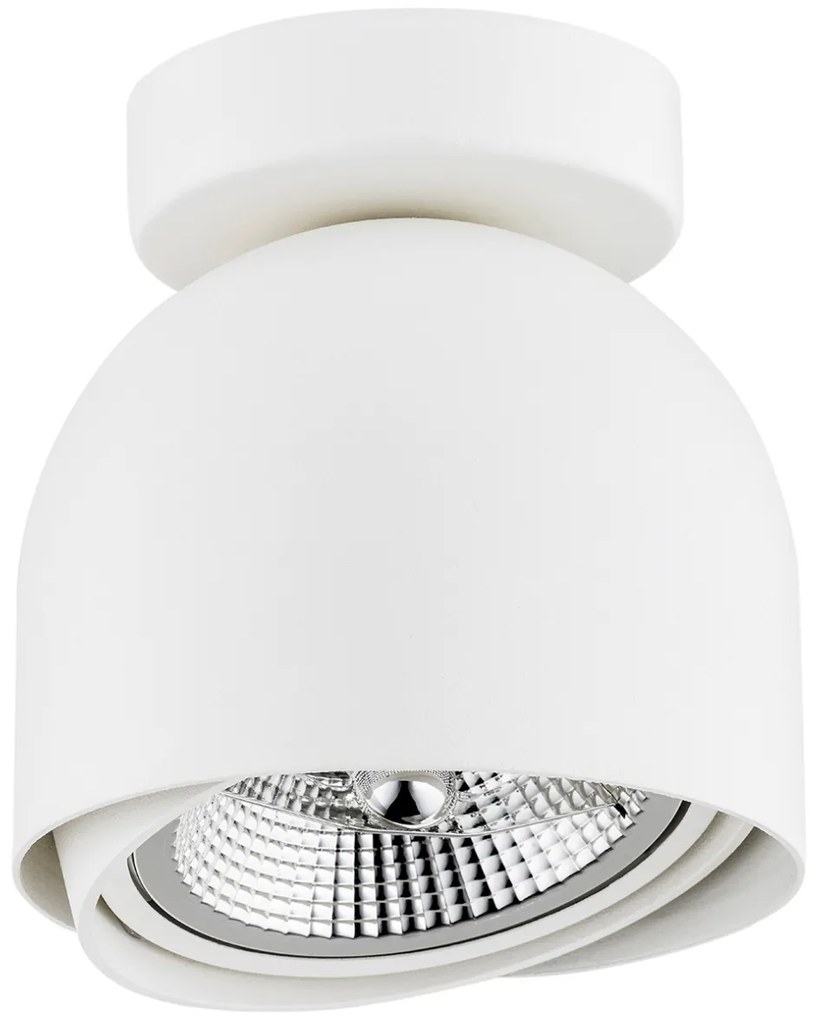 Plafoniera moderna tip Spot aplicat directionabil GARLAND alba