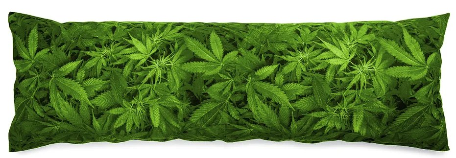 Faţă de pernă 4Home, pentru pernă derelaxare Soţ de rezervă Aromatica, 50 x 150 cm
