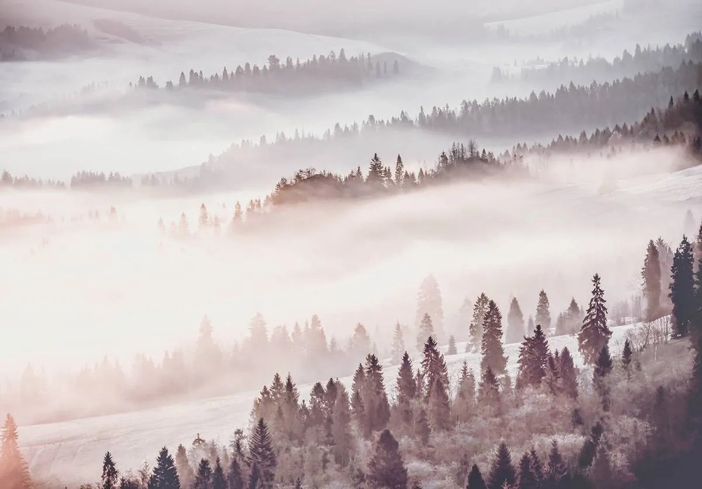 Fototapet - Pădurea în ceață (152,5x104 cm)