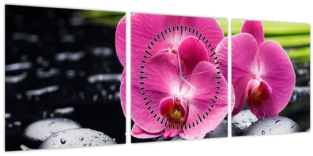 Tablou - Orhidee roz cu frunze de palmier (cu ceas) (90x30 cm)