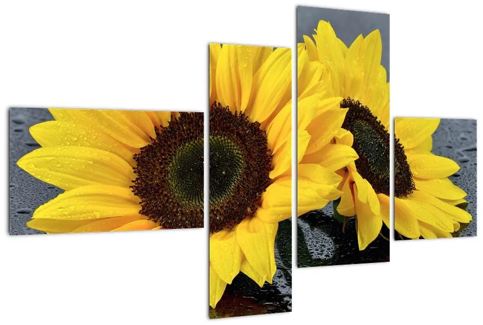 Tablou - floarea-soarelui (110x70cm)