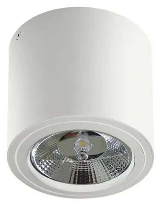 Spot aplicat directionabil de tavan/plafon ALIX alb ZZ AZ3541