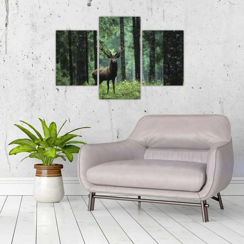 Tablou - Cerb în pădurea adâncă (90x60 cm)