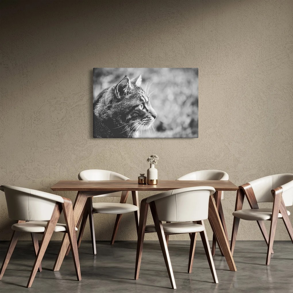 Tablou - Pisica (90x60 cm)