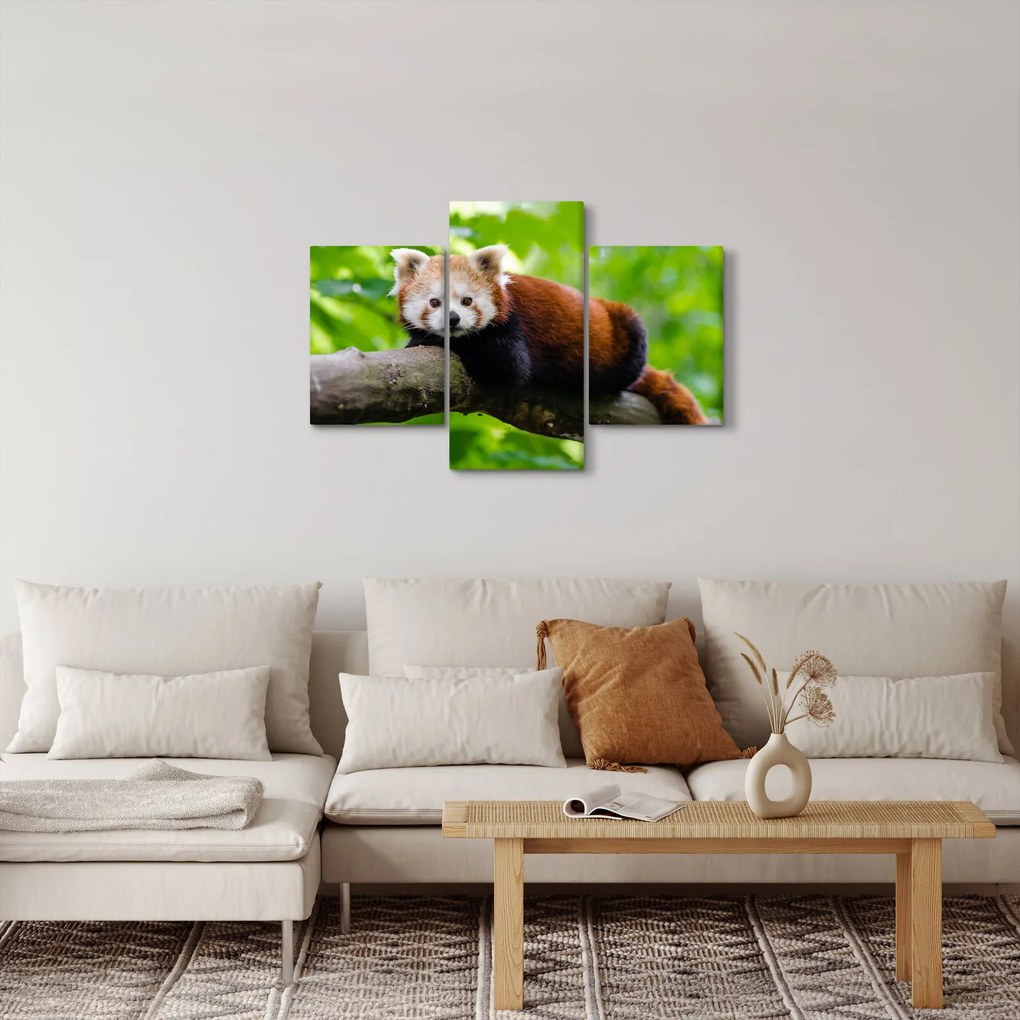 Tablou cu panda roșie (90x60 cm)