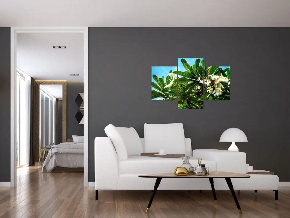 Tablou - Plumeria (90x60 cm)