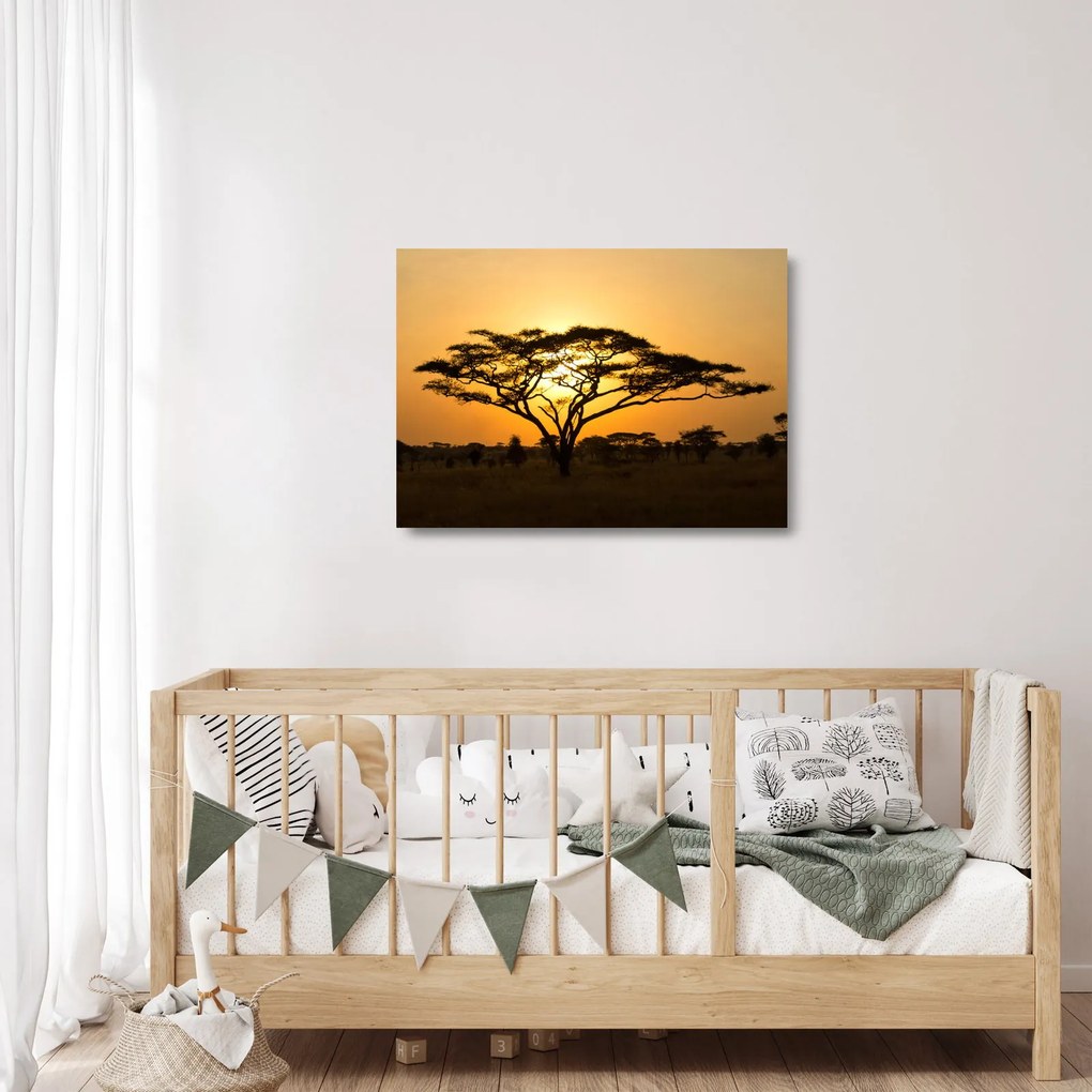 Tablou pe sticlă - Savana africană (70x50 cm)