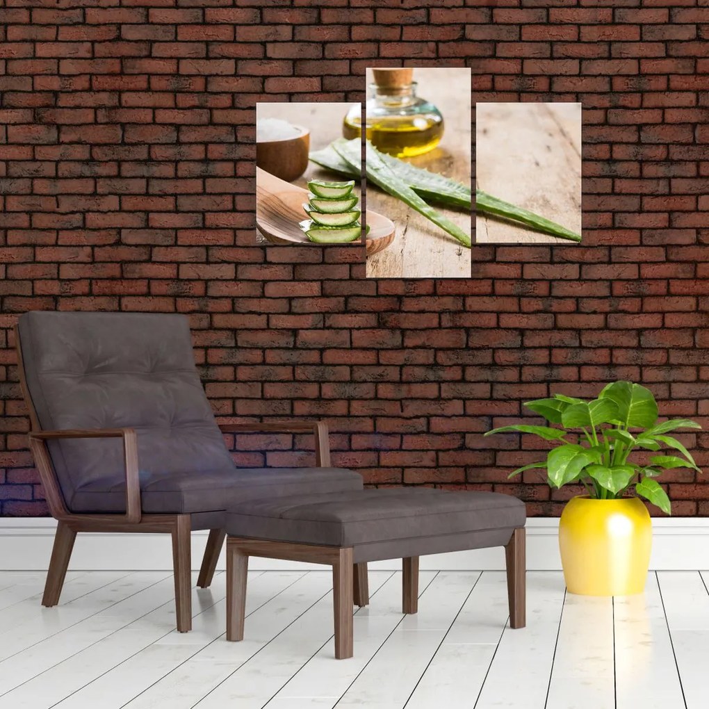 Tablou - Aloe vera (90x60 cm)