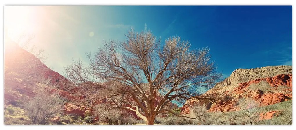 Tablou cu cu copac în deșert (120x50 cm)