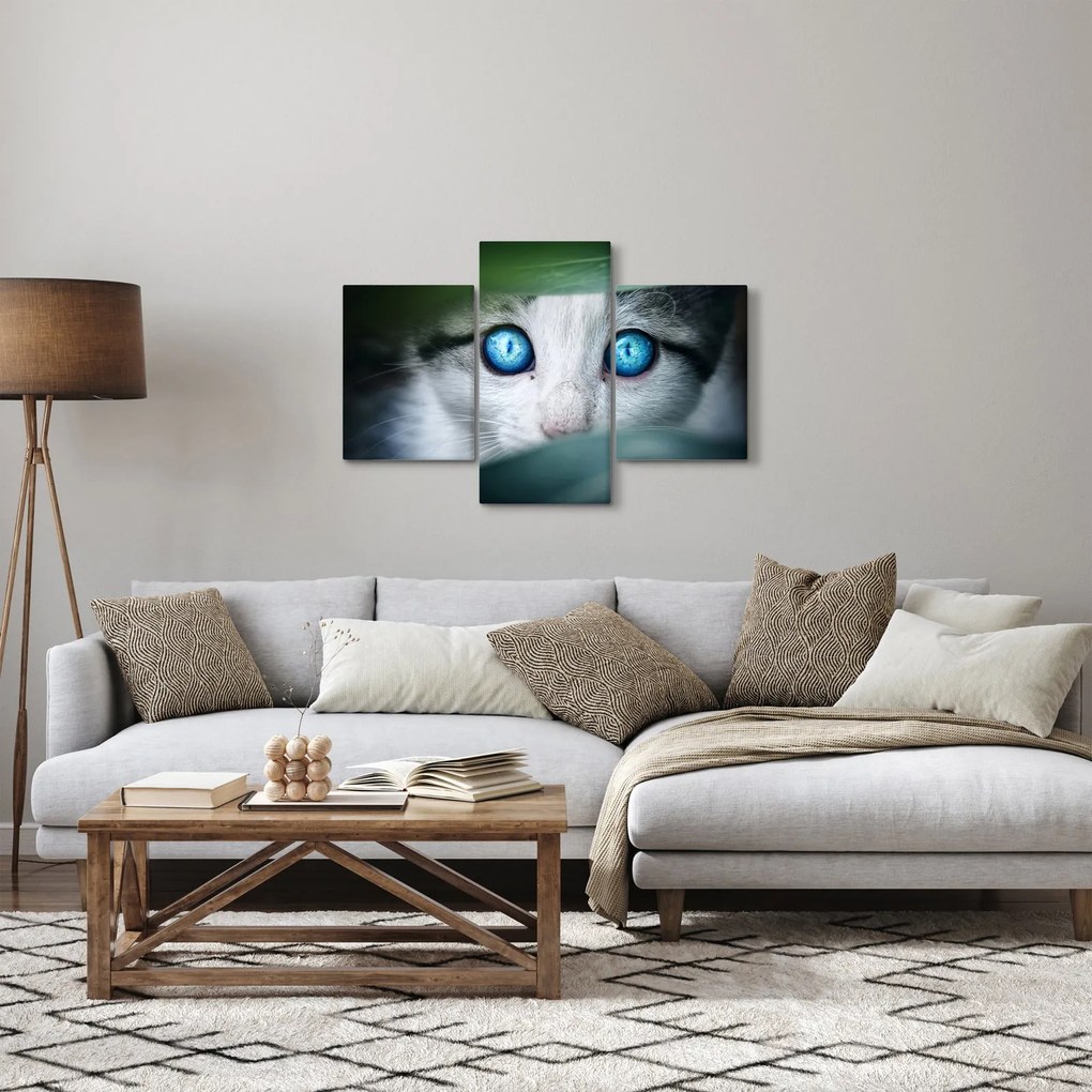 Tablou cu pisica (90x60 cm)