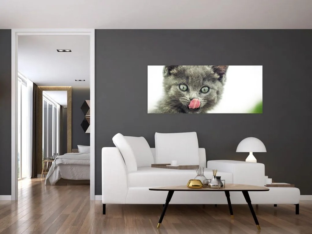 Tablou cu pisicuța lingându-se (120x50 cm)