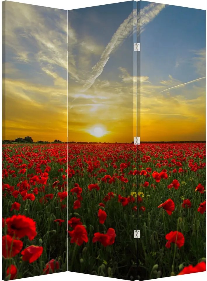 Paravan - Câmp cu maci (126x170 cm)