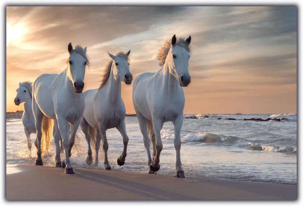 Tablou modern pe panou - running white horses