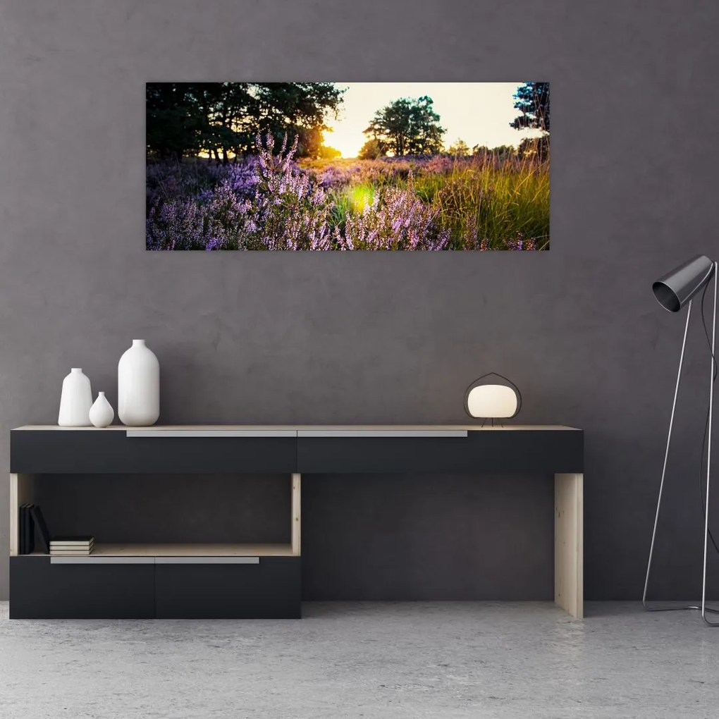 Tablou - Câmp cu lavandă (120x50 cm)