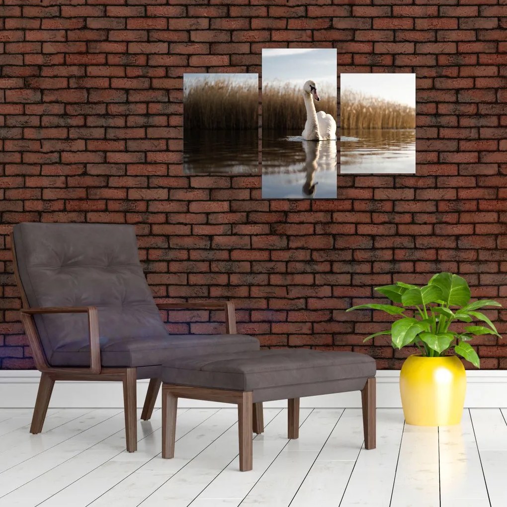 Tablou cu lebăda (90x60 cm)