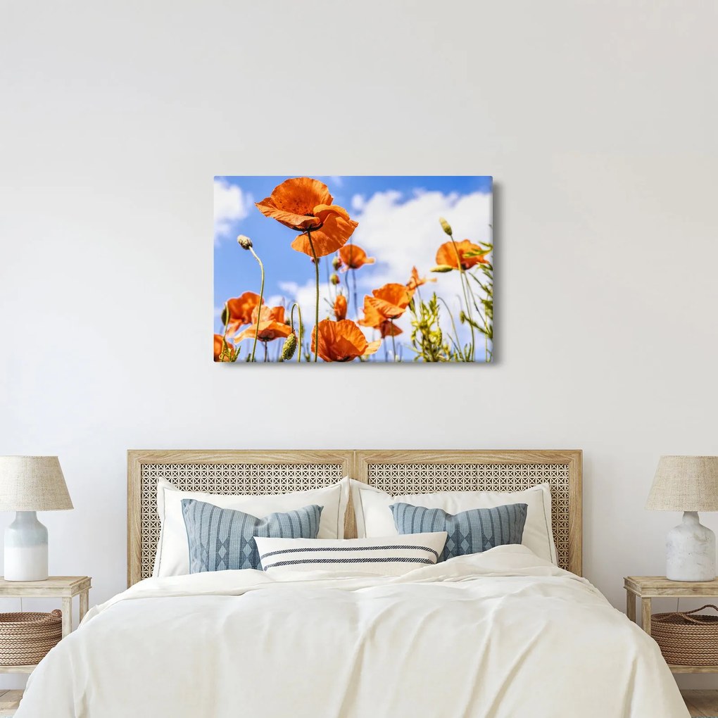 Tablou cu macii (90x60 cm)