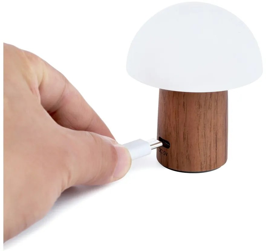 Veioză albă/în culoare naturală închisă LED (înălțime 7 cm) Alice Mushroom – Gingko