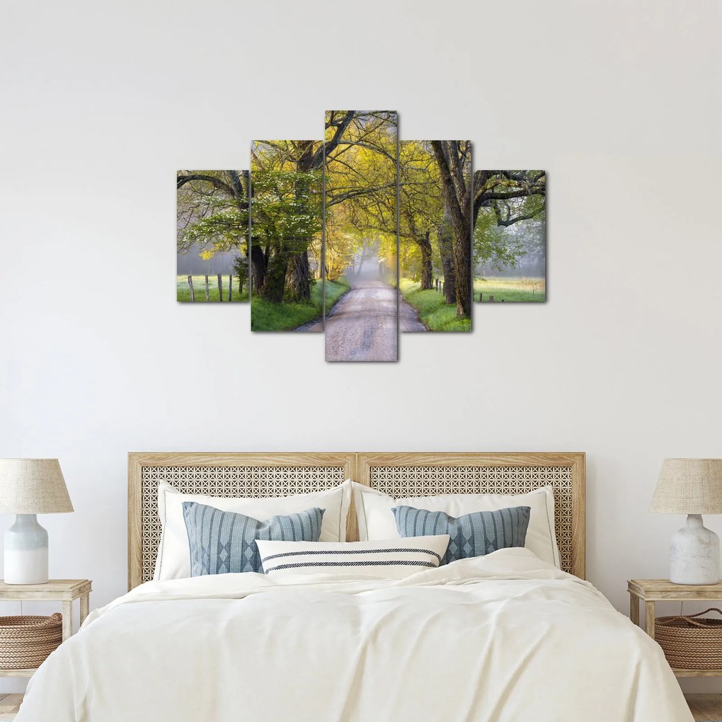 Tablou - Smoky Mountains, Gatlinburg, SUA (150x105 cm)