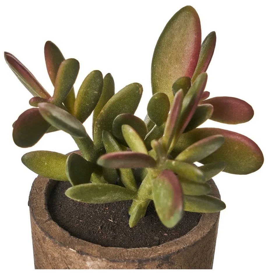 Plante artificiale 4 buc. Cactus – Casa Selección