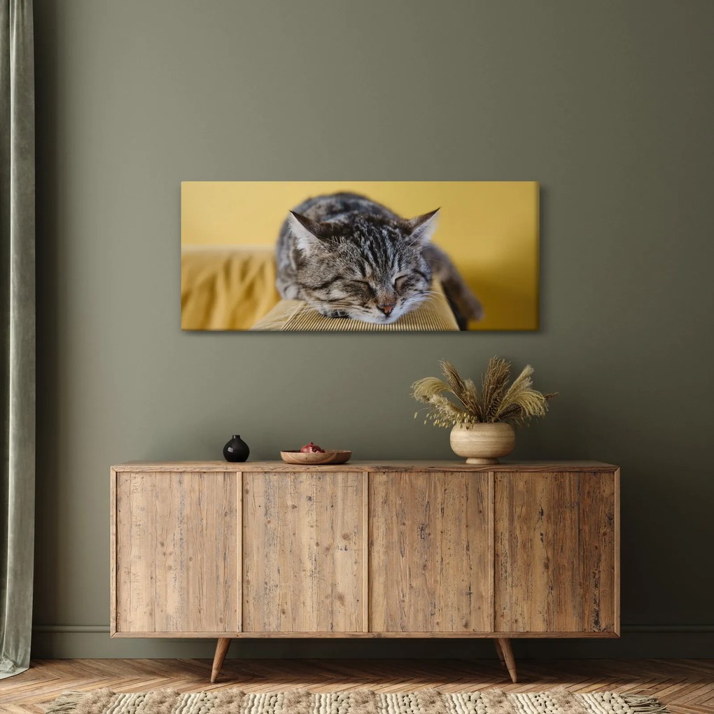 Tablou cu pisica pe fotoliu (120x50 cm)