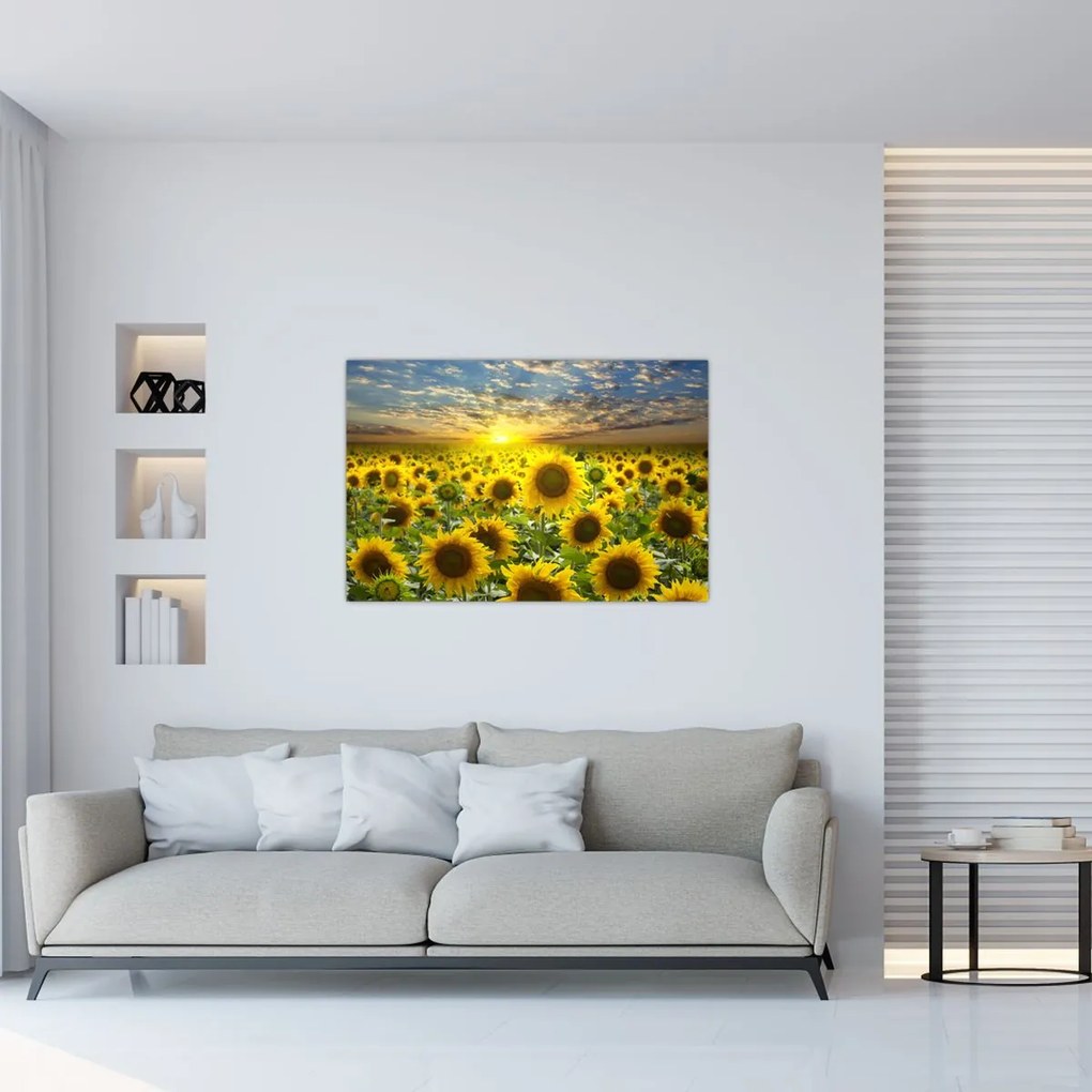 Tablou - Floarea-soarelui la apus de soare (90x60 cm)