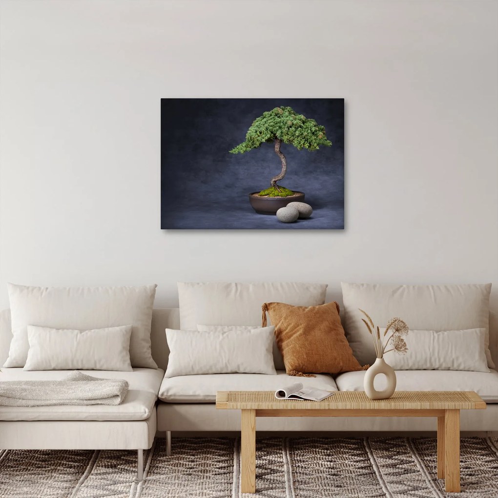 Tablou - Bonsai (70x50 cm)