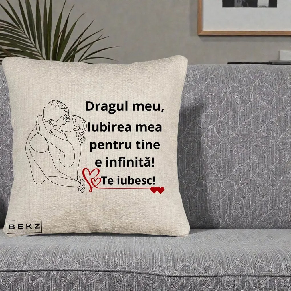 Cadou pentru Iubit - Perna Personalizata Dragul Meu Iubirea Mea pentru Tine e Infinita Te Iubesc, 40x40 cm, Bej Canapea, Husa Detasabila, Perna Inclusa, BEKZ®
