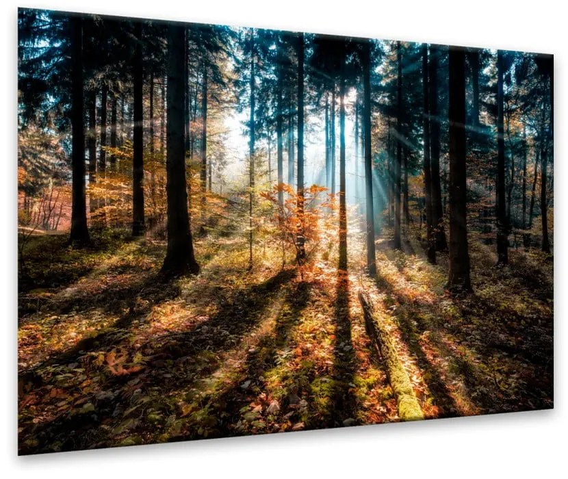 Tablou Styler Glasspik Autumn Sunset, 70 x 100 cm