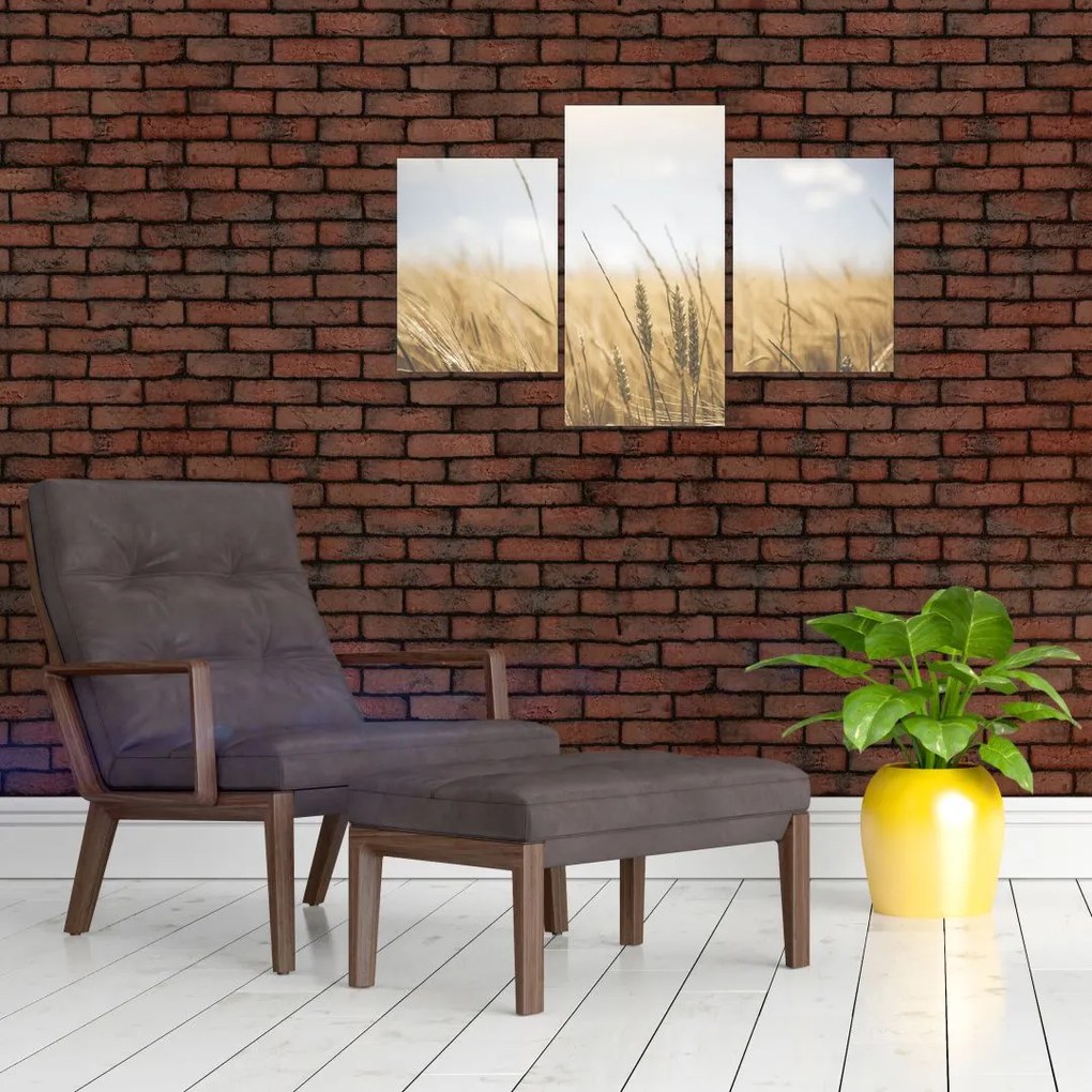 Tablou cu grâne (90x60 cm)