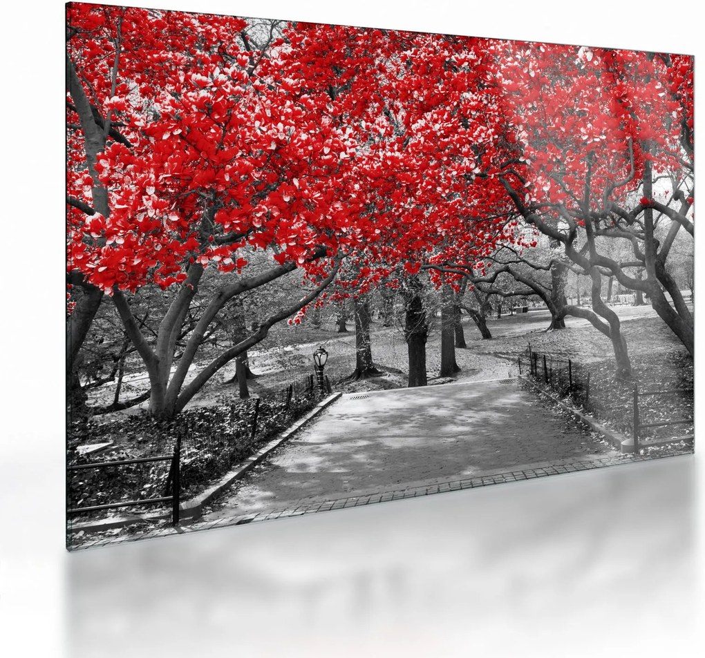 Tablou pe sticlă - Copaci roșii, Central Park, New York (70x50 cm)