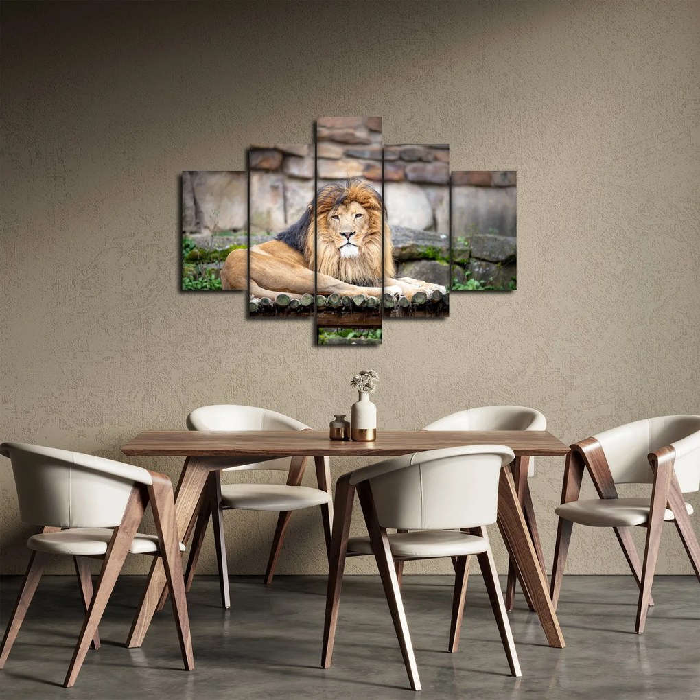 Tablou cu leu (150x105 cm)