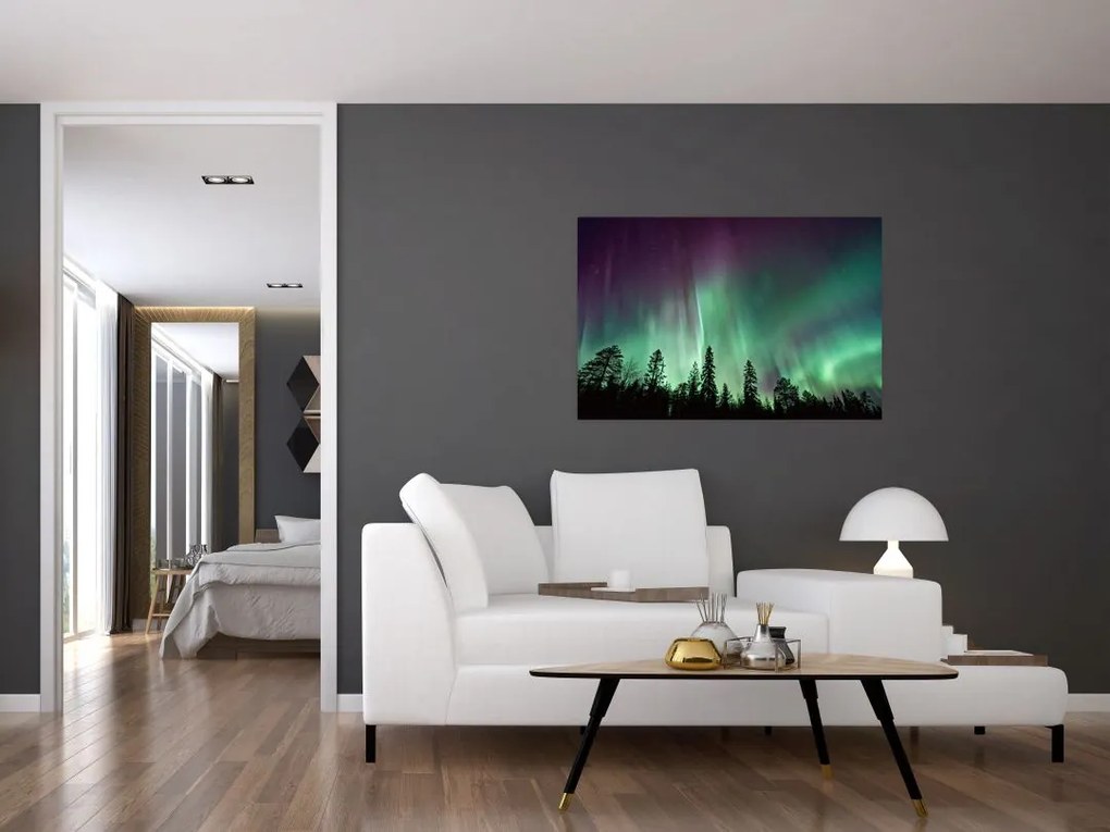 Tablou cu Northern Lights (90x60 cm)