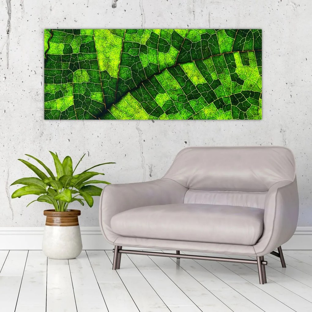Tablou - Detaliu frunze (120x50 cm)