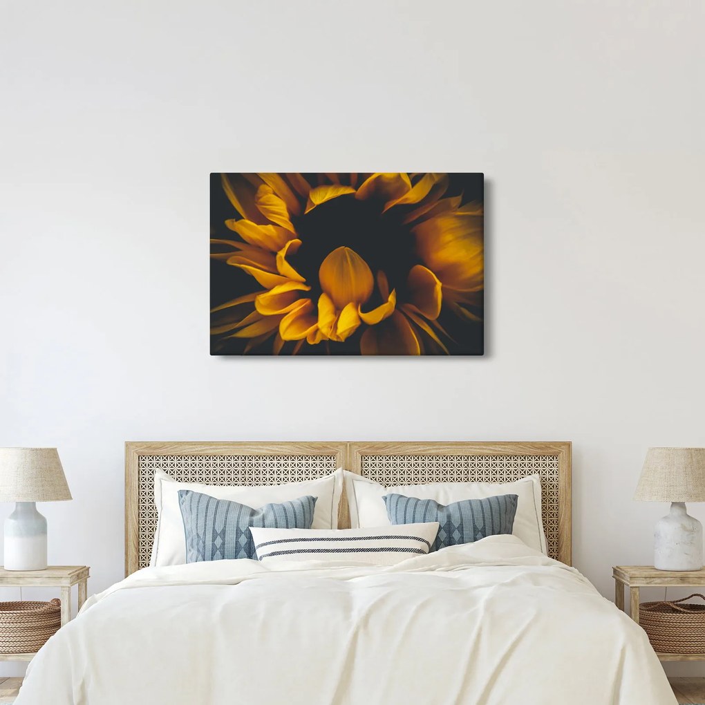 Tablou - Floarea-soarelui în fundal negru (90x60 cm)