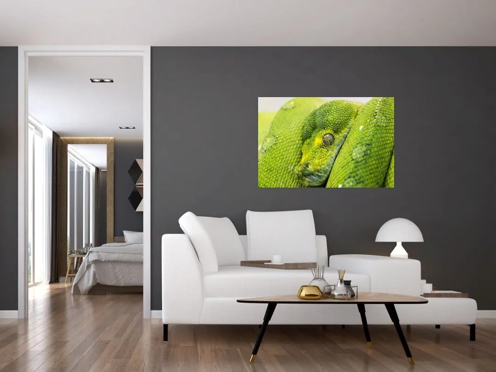 Tablou cu șarpe (90x60 cm)