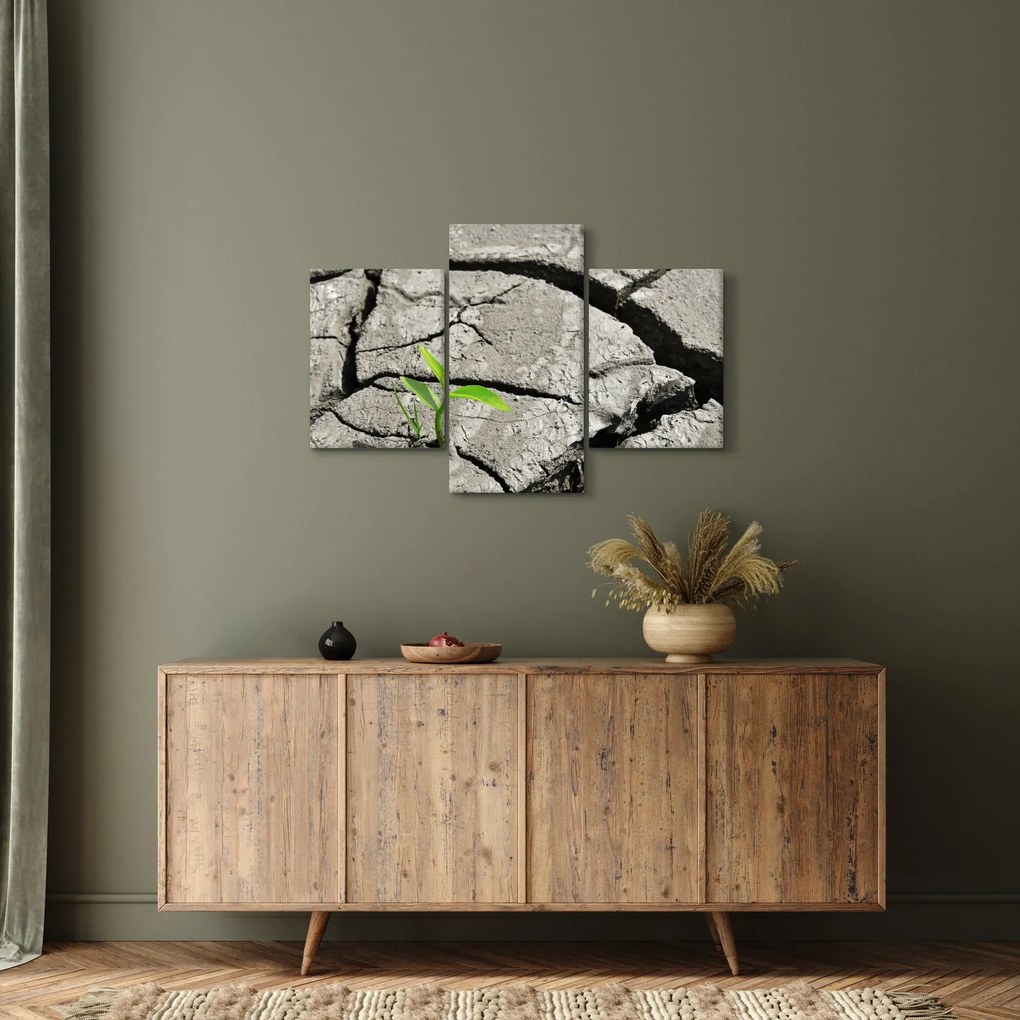 Tablou - Fisuri (90x60 cm)