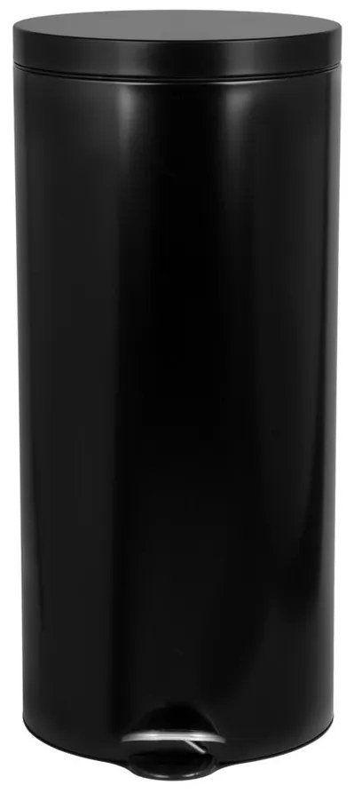 Alda coș cu pedale Soft Close Freedom Fresh 30 l,negru, 30 l