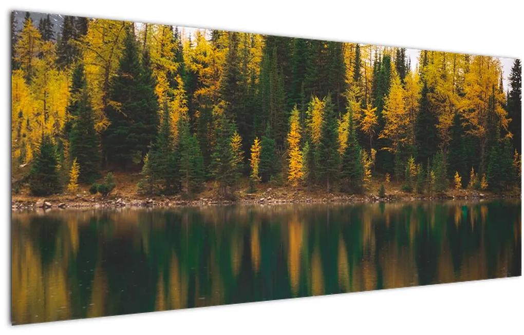 Tablou cu lac de pădure (120x50 cm), în 40 de alte dimensiuni noi