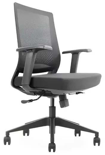 Scaun Ergonomic Profesional 188B