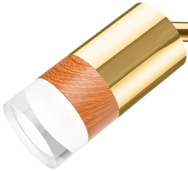 Spot de perete AURORA 1xGU10/10W/230V