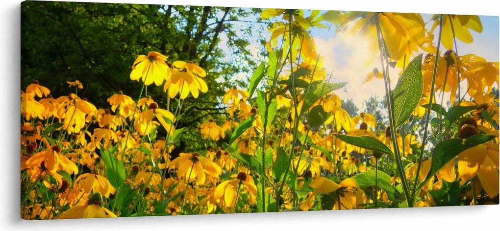 Tablou - Flori galbene (120x50 cm)