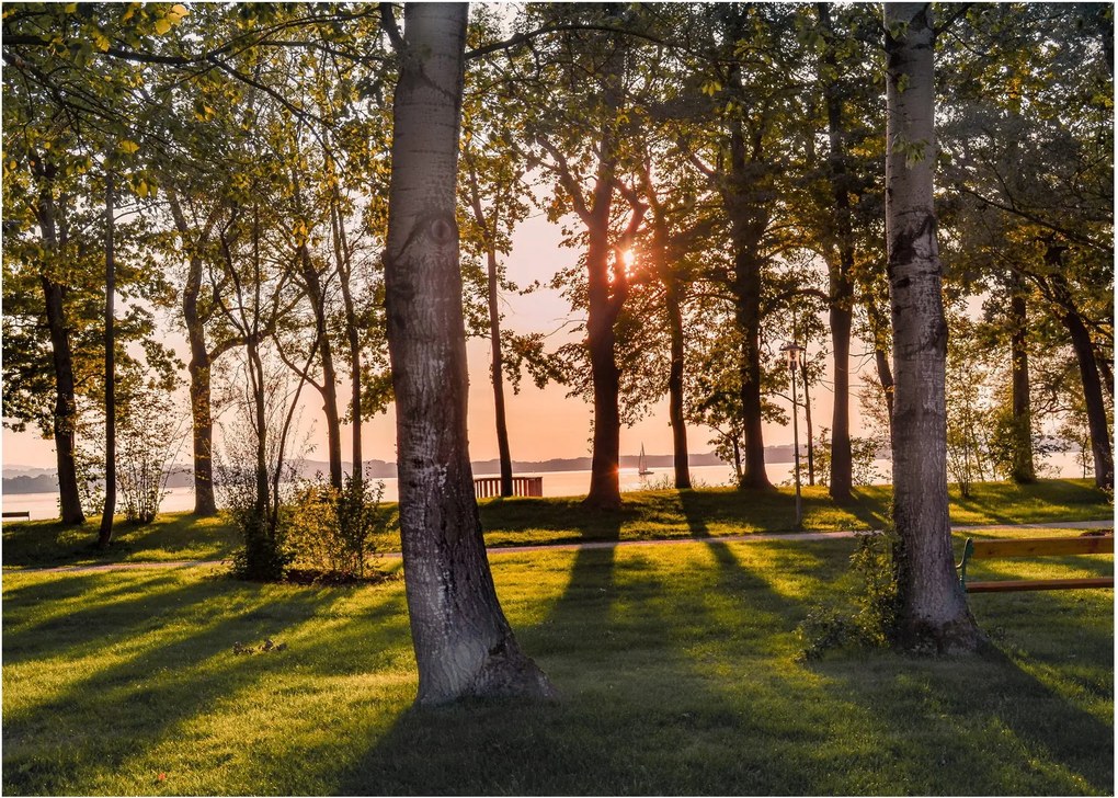 Tablou pe sticlă cu pomi lângă lac (70x50 cm)