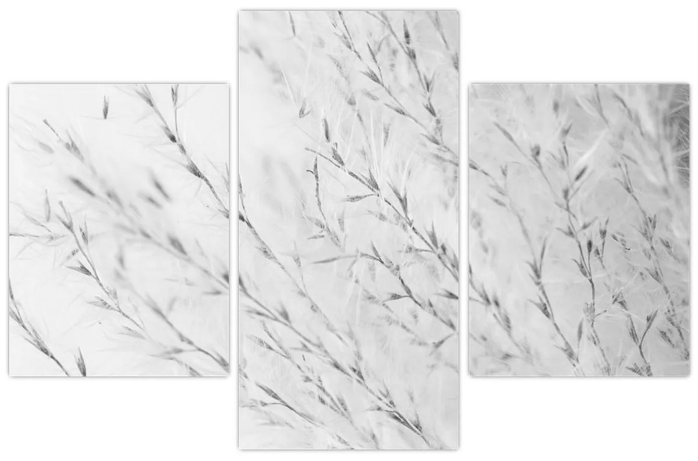 Tablou - Iarbă de pampas N⁰2 (90x60 cm)