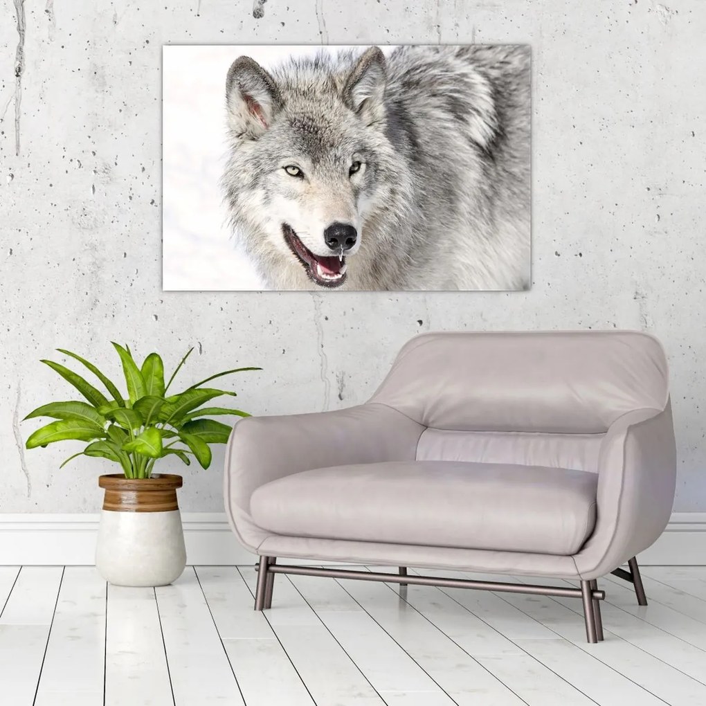 Tablou - Lupul în natură (90x60 cm)
