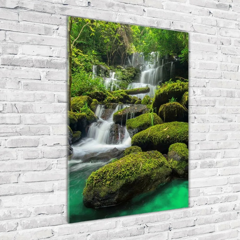 Imagine de sticlă Cascada din junglă