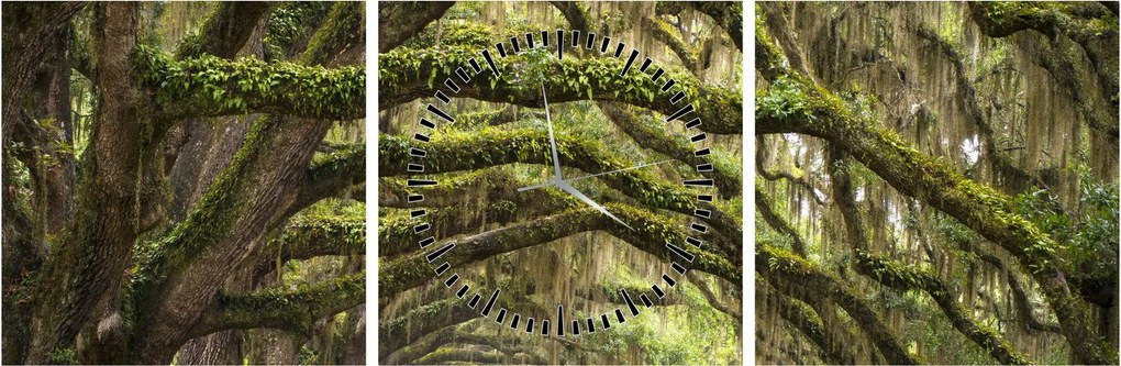 Tablou - Oaks Avenue, Charleston, Carolina de Sud, SUA (cu ceas) (90x30 cm)