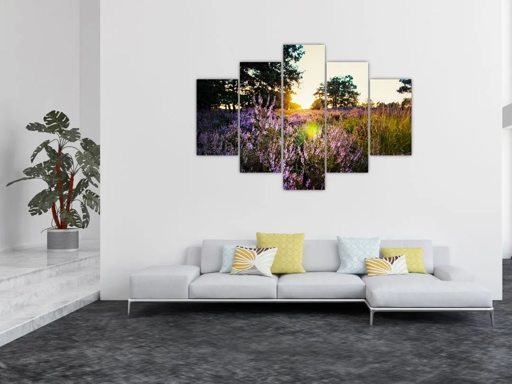 Tablou - Câmp cu lavandă (150x105 cm)