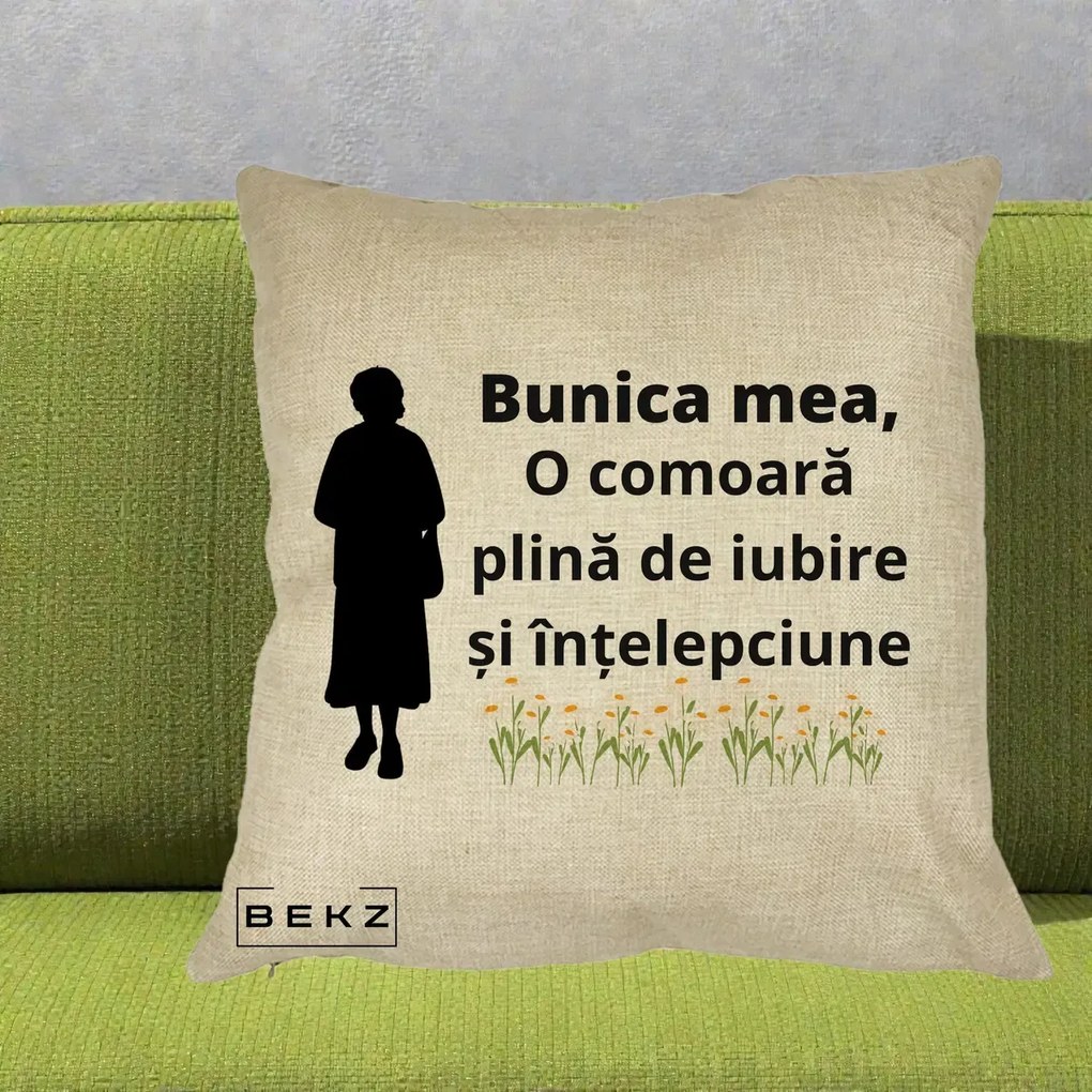 Cadou pentru Bunica - Perna Personalizata Bunica Mea Comoara Iubire Intelepciune Silueta cu Nepoata, 40x40 cm, Crem, Husa Detasabila, Perna Inclusa, BEKZ®