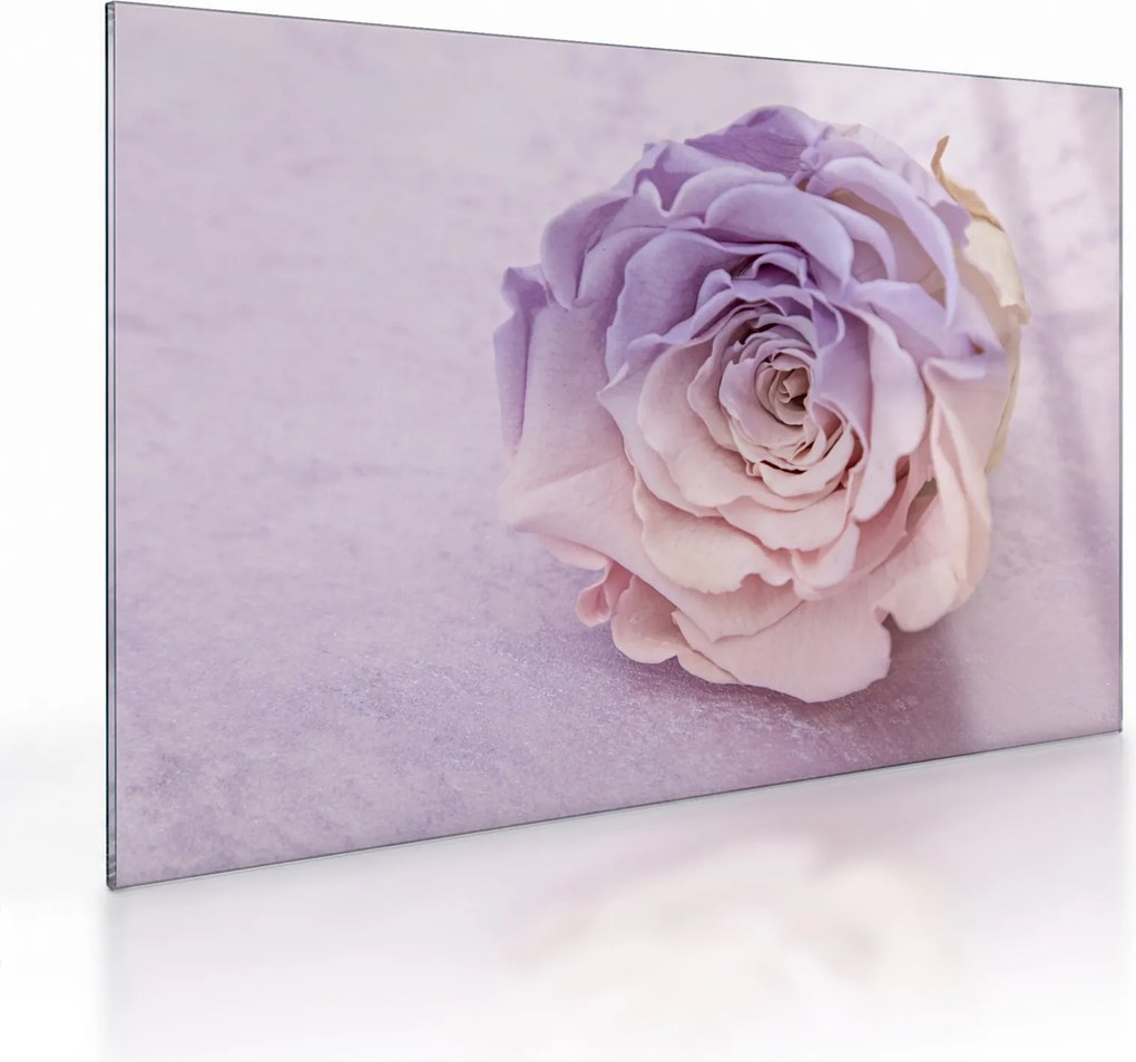 Tablou pe sticlă detaliu florii de trandafir (70x50 cm)